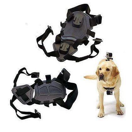 Dog harness with 2 mounting points for sports camera - universal - sjgp-128 